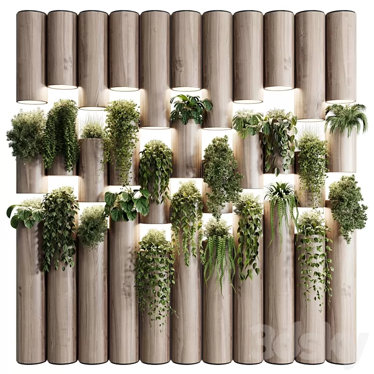 plants set partition in wooden frame- Vertical graden wall decor box 30 3D Model Free Download