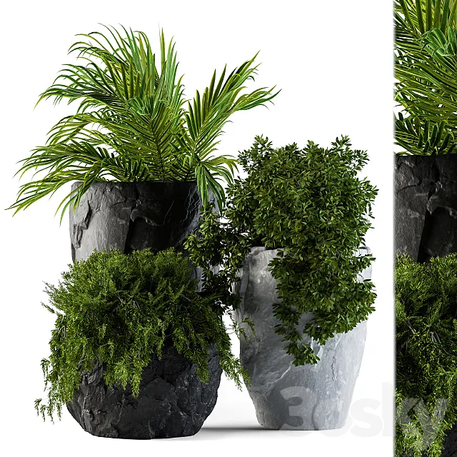 Plants set rock pot 3D Model Plants set rock pot 3D Model