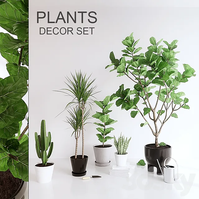 PLANTS SET (vray GGX. corona PBR) 3DModel PLANTS SET (vray GGX. corona PBR) 3DModel