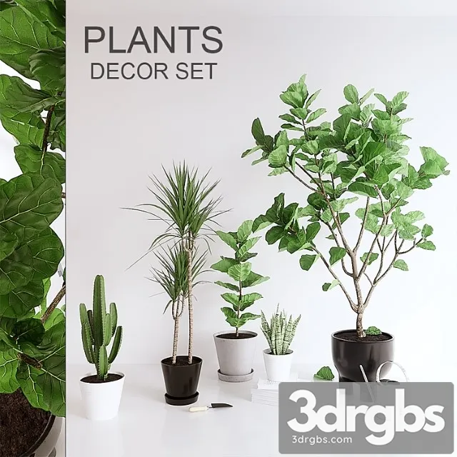 Plants set (vray ggx, corona pbr) Plants set (vray ggx, corona pbr)