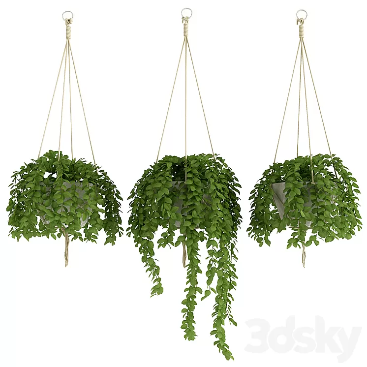 Plants Set_2 3D Model Plants Set_2 3D Model