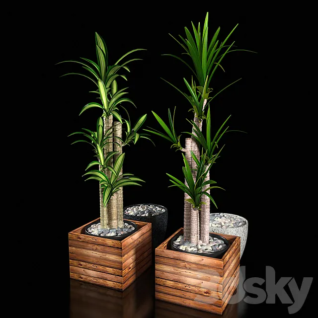 PLANTS VOL 1 3D Model PLANTS VOL 1 3D Model