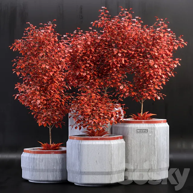 Plants_01 3D Model Plants_01 3D Model