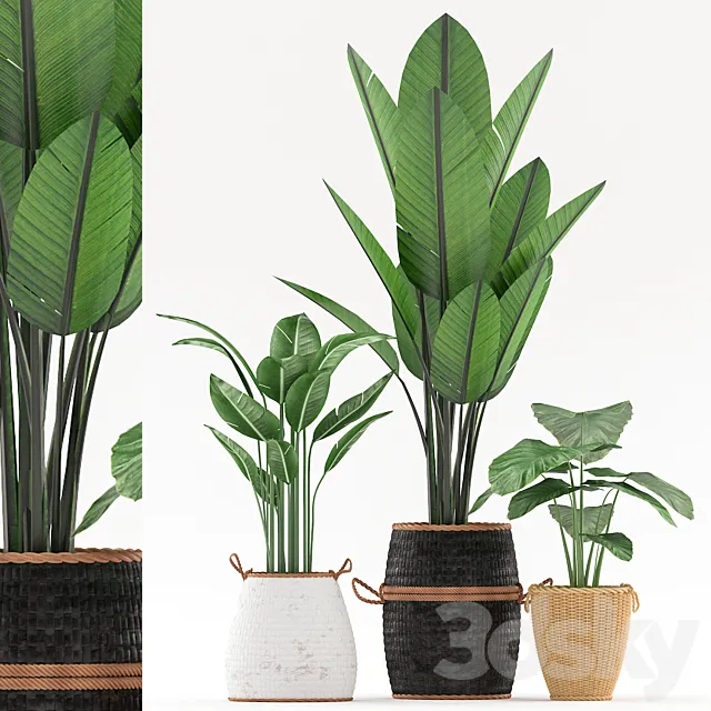 plants_121 3D Model plants_121 3D Model