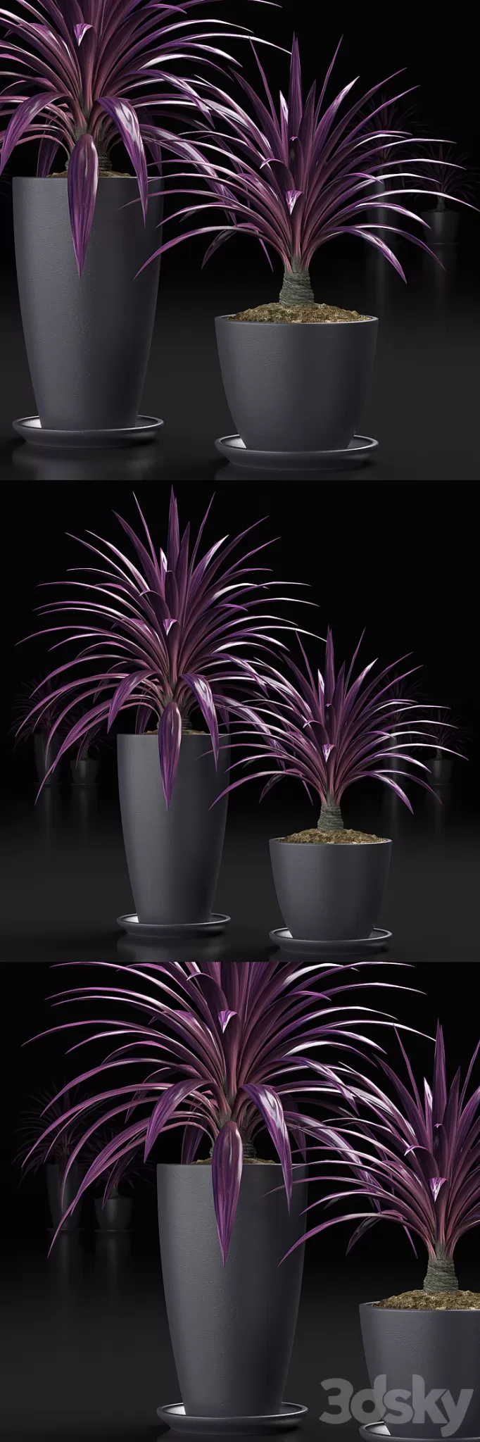 PLANTS_16 3D Model PLANTS_16 3D Model