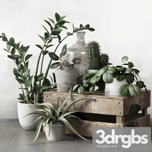 Plantset 2 Plantset 2