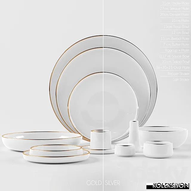 PLATE SET 3D Model