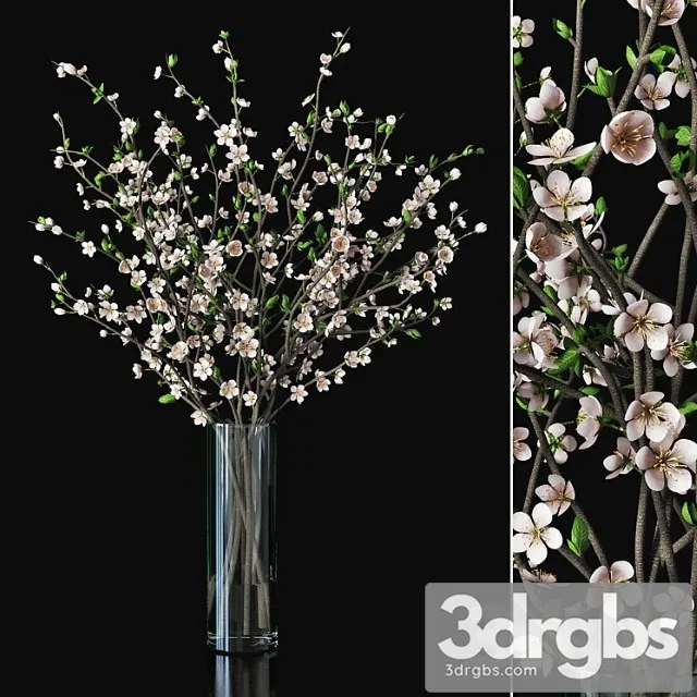 Plum blossom 03 Plum blossom 03