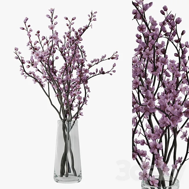 Plum blossom 3D Model Plum blossom 3D Model