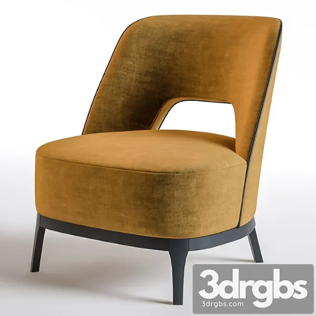 Pmp copa 3D Model Download