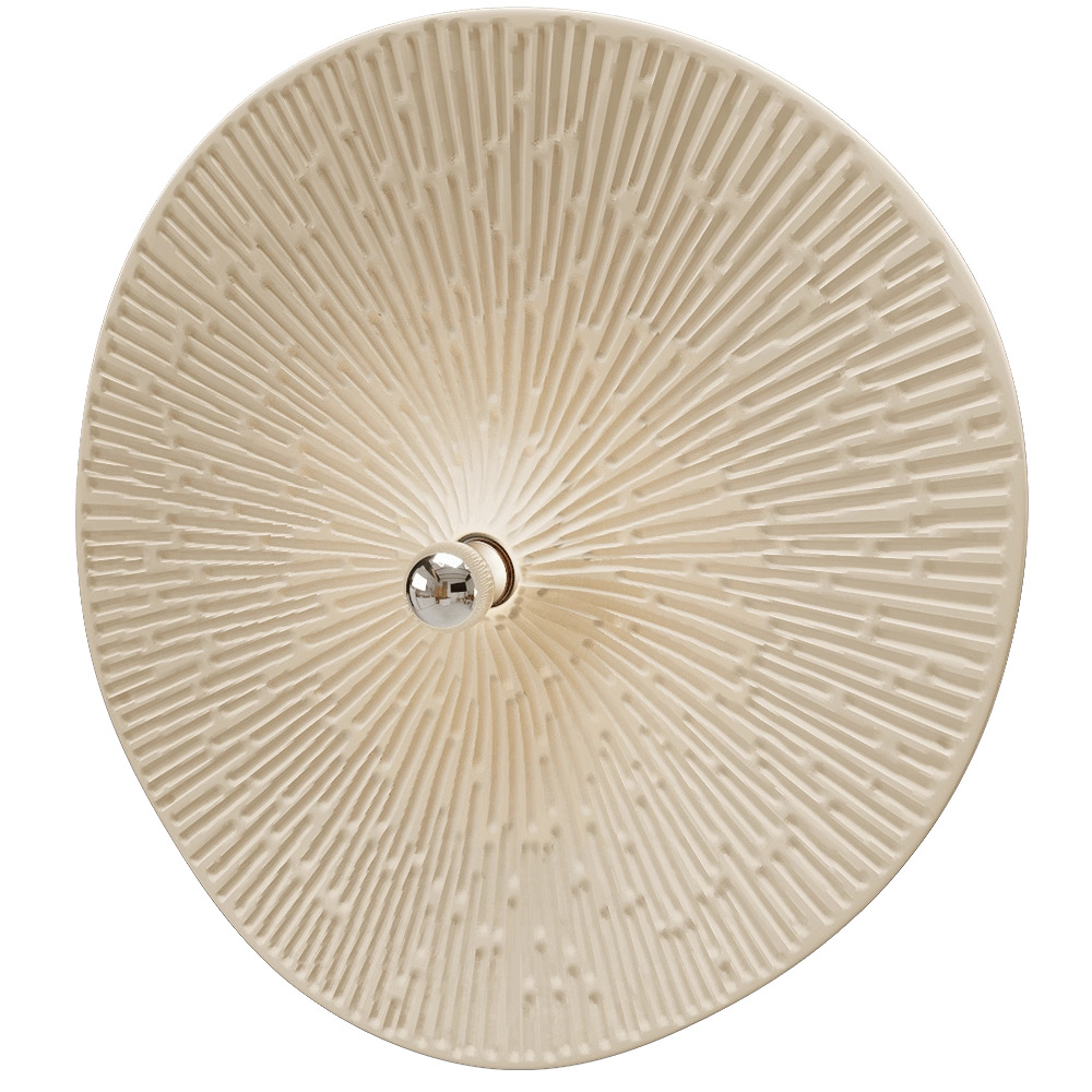 Polina Artamonova Design – Wall lamp FLAMMULINA XXL 3D Model Polina Artamonova Design – Wall lamp FLAMMULINA XXL 3D Model