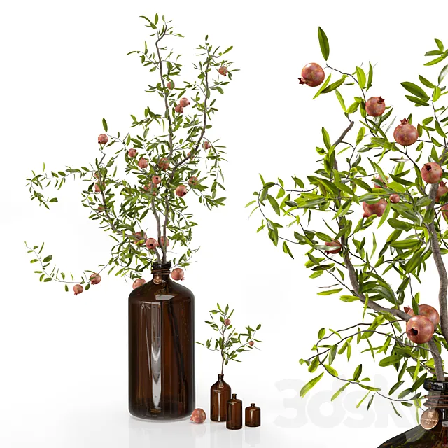 Pomegranate branches in pharmacy bottles 3D Model Pomegranate branches in pharmacy bottles 3D Model