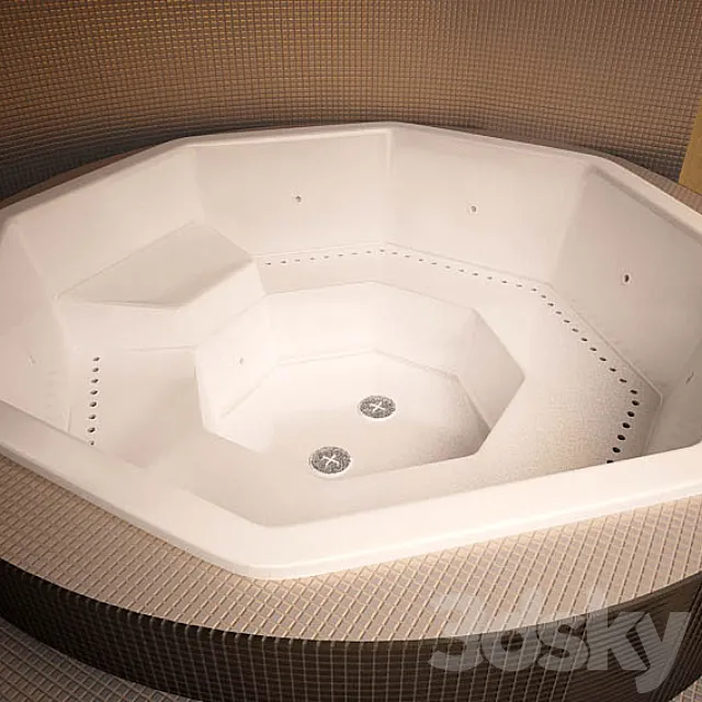 Pool Spa Vesta 3D Model Pool Spa Vesta 3D Model