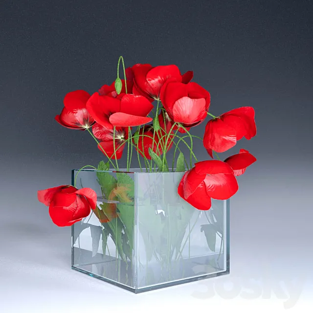 Poppies 3D Model Poppies 3D Model