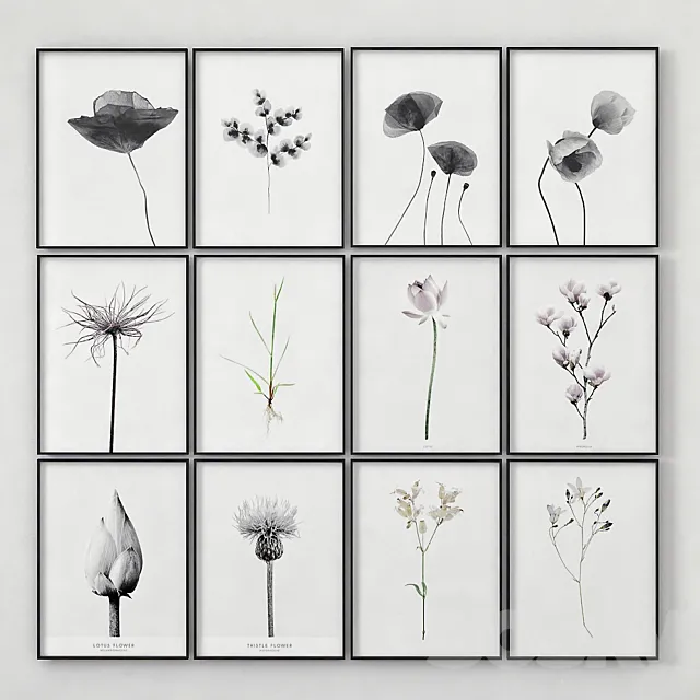 Posters with images of plants 3D Model Posters with images of plants 3D Model
