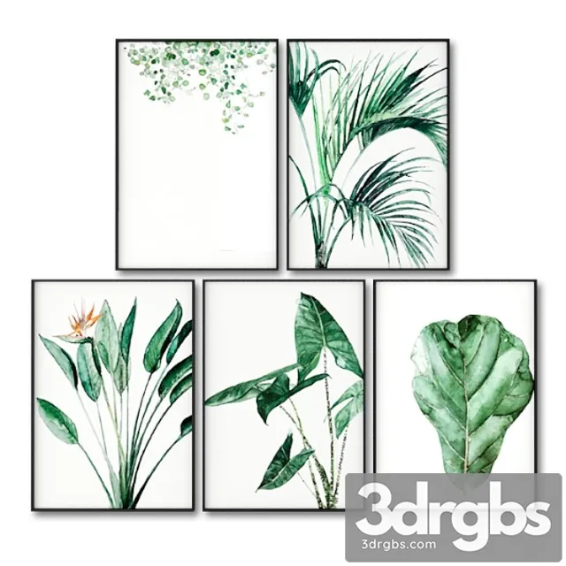 Posters with leaves of tropical plants. 3D Model Download