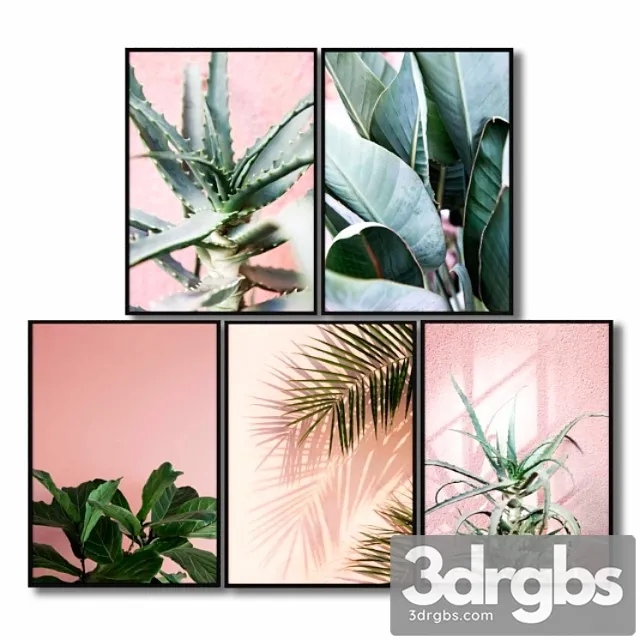 Posters with pink plants. 3D Model Download
