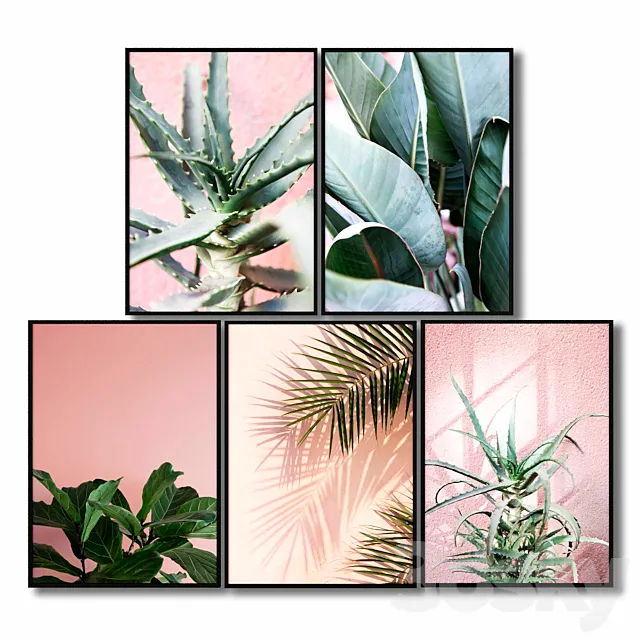Posters with pink plants. 3DModel Posters with pink plants. 3DModel