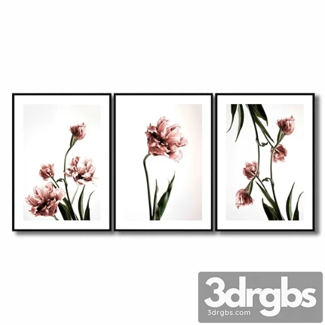Posters with pink tulips. 3D Model Download
