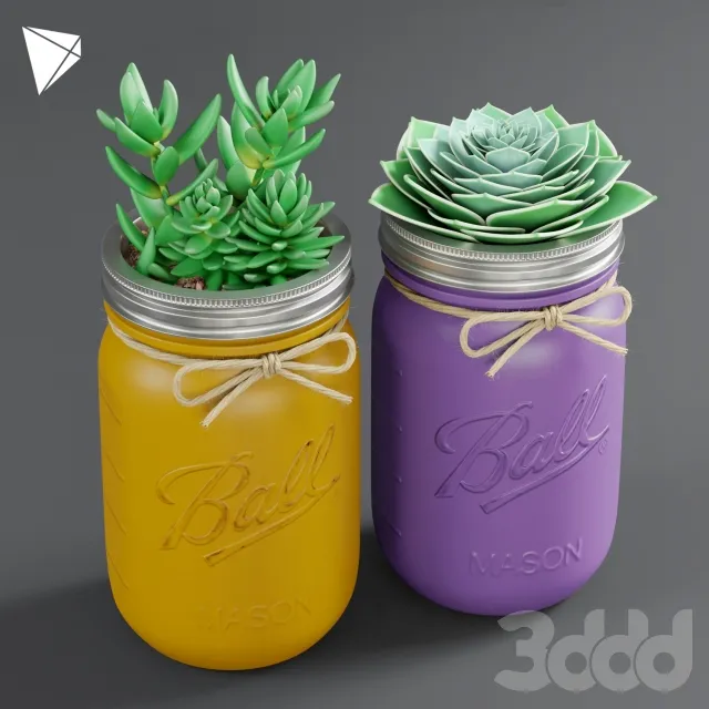 Pot Ball Mason Jar Succulent 3D Model Pot Ball Mason Jar Succulent 3D Model