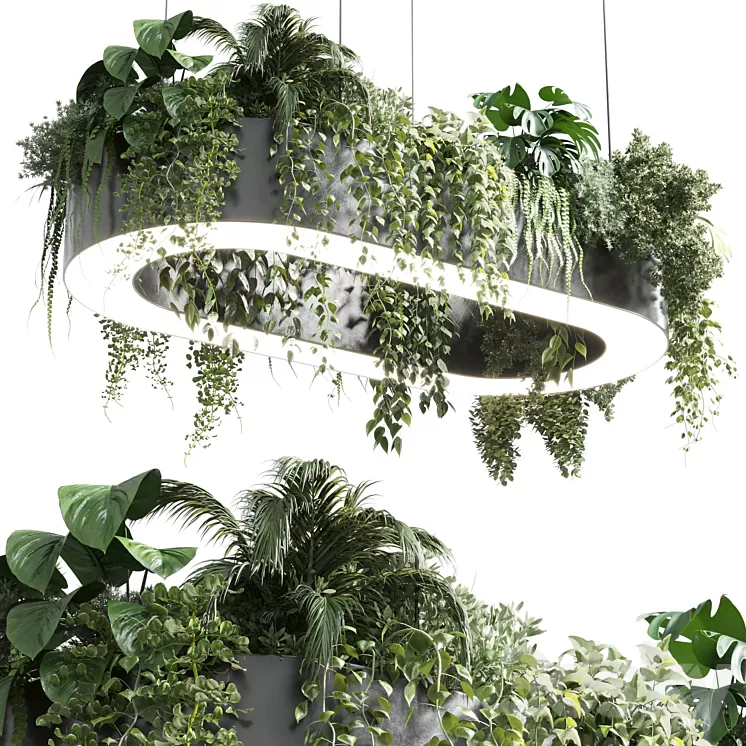 pot light – pendant plant light hanging 06 corona 3D Model Free Download