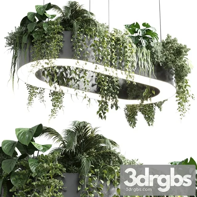 Pot light – pendant plant light hanging 06 corona Pot light – pendant plant light hanging 06 corona