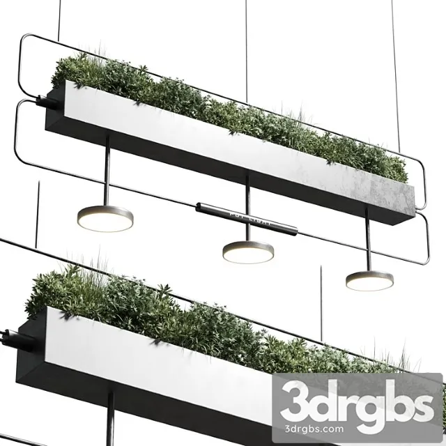Pot light – pendant plant light hanging 07 Pot light – pendant plant light hanging 07