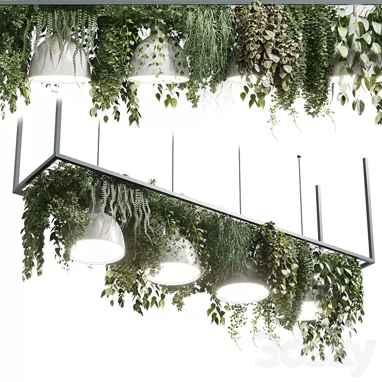 pot light – pendant plant light hanging 08 3D Model Free Download