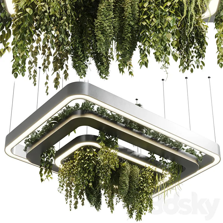 pot light pendant plant light hanging 11 3D Model Free Download