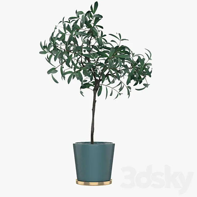 Pot Plant 25 3D Model Pot Plant 25 3D Model