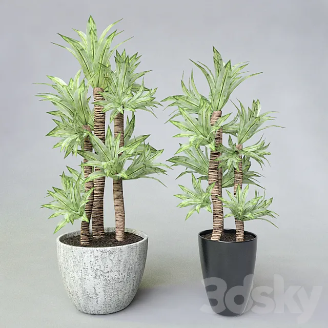Potted plant 3DModel Potted plant 3DModel