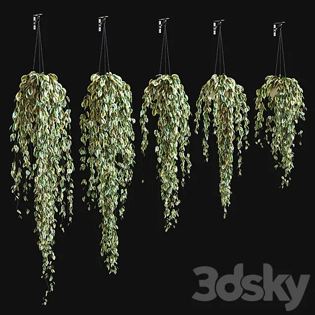 Potted plant on a chain 3D Model Potted plant on a chain 3D Model