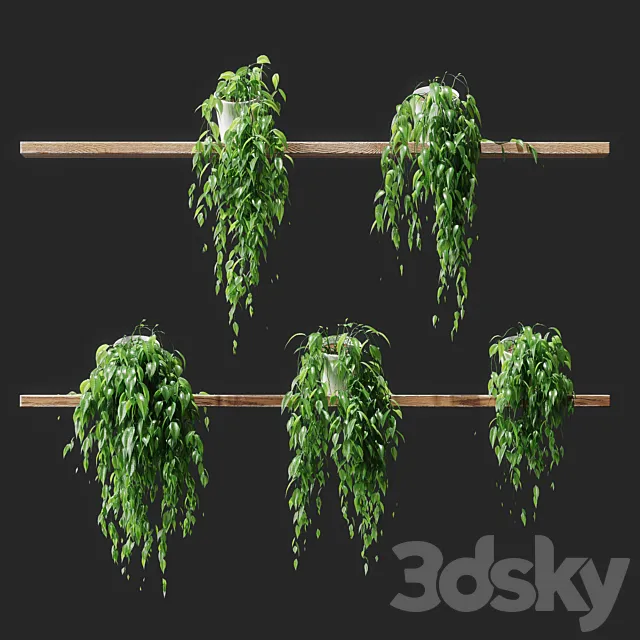 Potted plants on shelves 3DModel Potted plants on shelves 3DModel