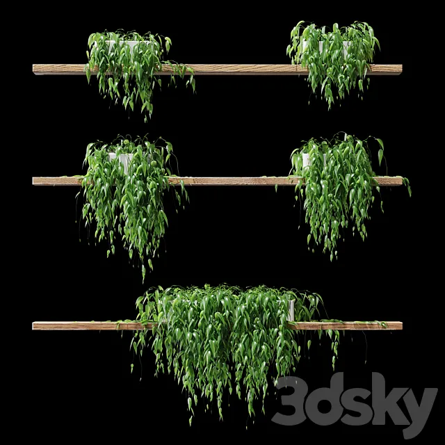 Potted plants on the shelves v2 3D Model Potted plants on the shelves v2 3D Model