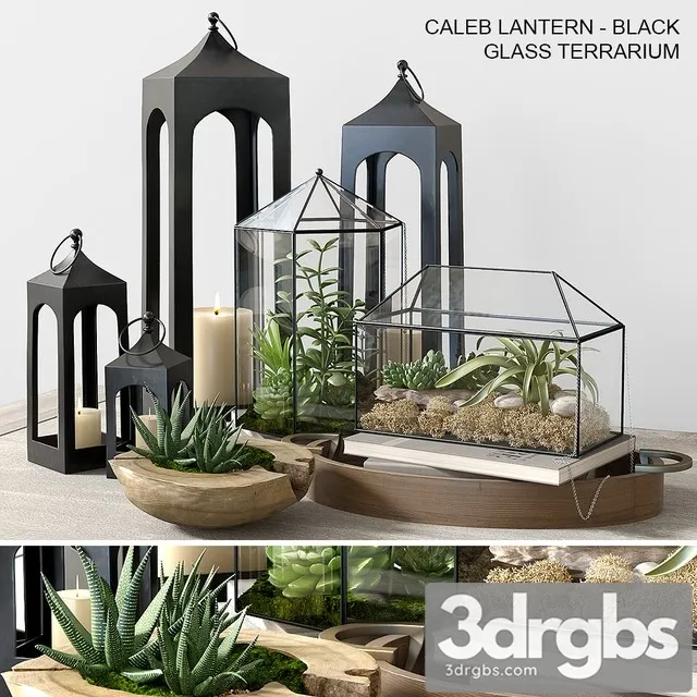 Pottery Barn Glass Terrarium 3D Model Download Pottery Barn Glass Terrarium 3D Model Download