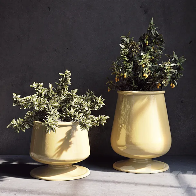 Pottery Barn_Reactive Glaze Planter 3DModel Pottery Barn_Reactive Glaze Planter 3DModel