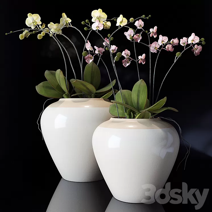potterybarn Orchid 3D Model potterybarn Orchid 3D Model