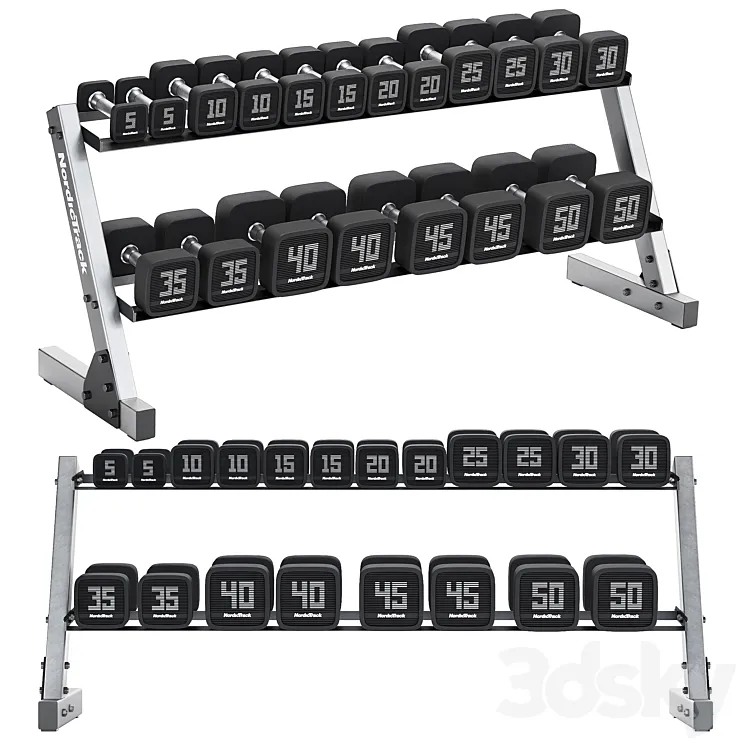 Premium Dumbbell Set and Dumbbell Rack 3D Model Free Download