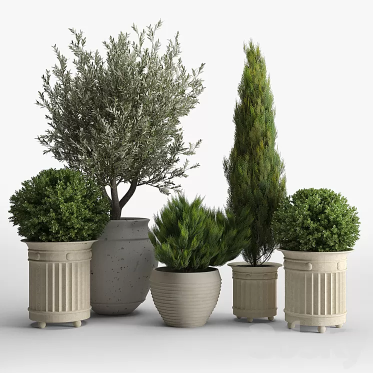 prescott planter set 3D Model