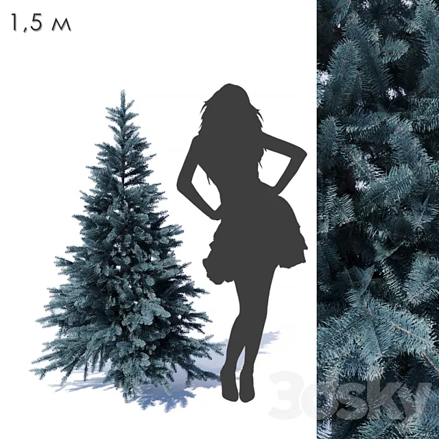 Prickly spruce 1.5m 3D Model