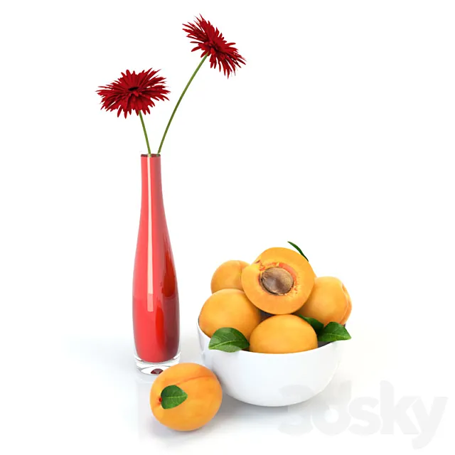 PROFI Apricots 3DModel PROFI Apricots 3DModel