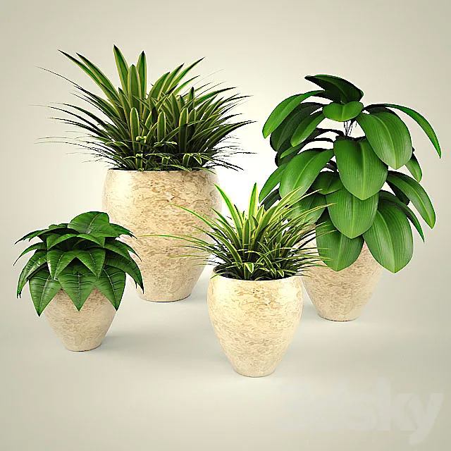 PROFI flowers 3D Model PROFI flowers 3D Model