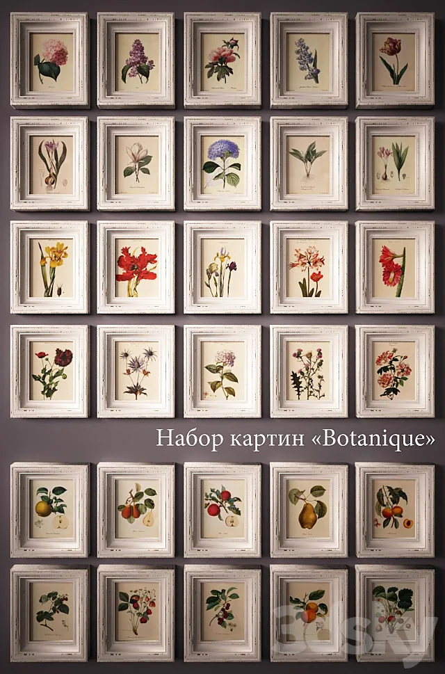 “PROFI” Paintings «Botanique». 3D Model “PROFI” Paintings «Botanique». 3D Model