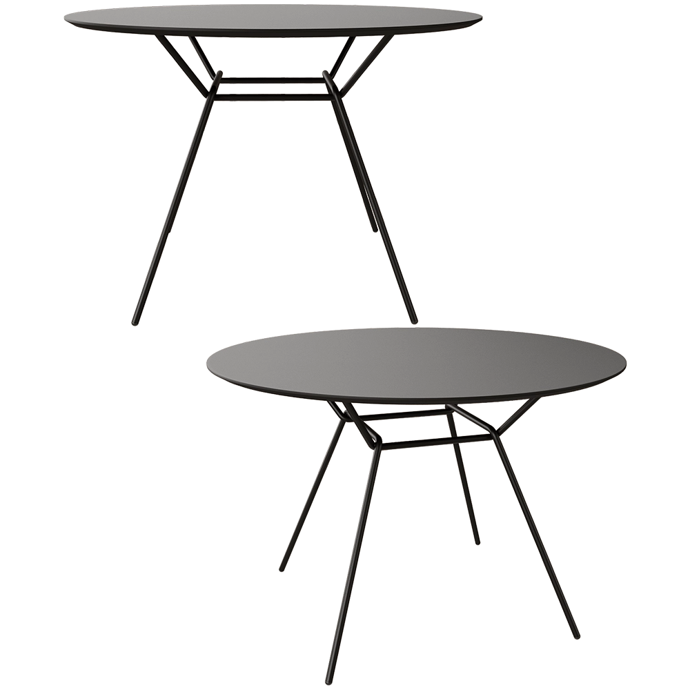 Prostoria – Table Strain low 3D Model