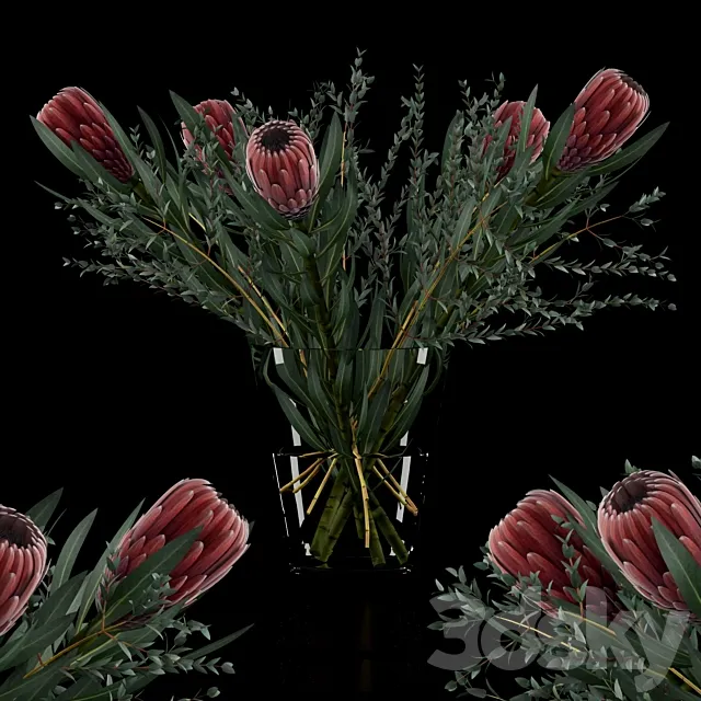 Protea & Eucalyptus parvifolia 3D Model Protea & Eucalyptus parvifolia 3D Model
