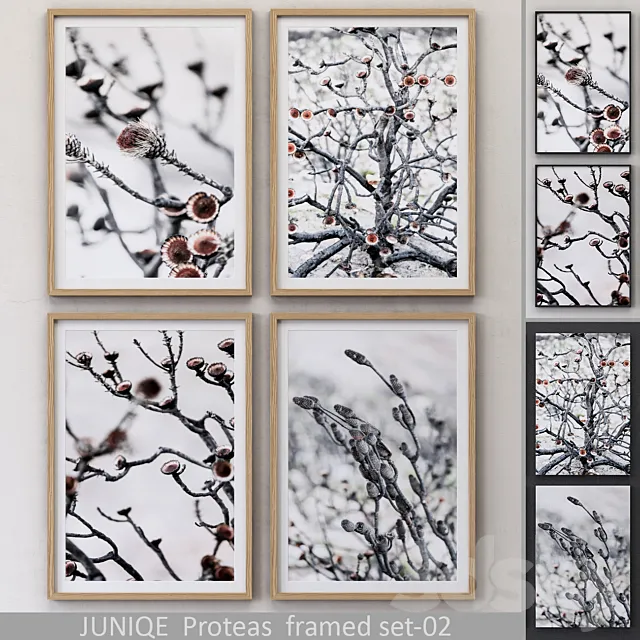 Proteas framed set-02 3DModel Proteas framed set-02 3DModel
