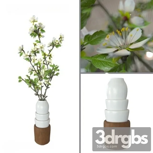 Prunus Domestica 3D Model Download Prunus Domestica 3D Model Download