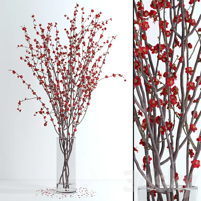 Prunus Red Blossom 3DModel