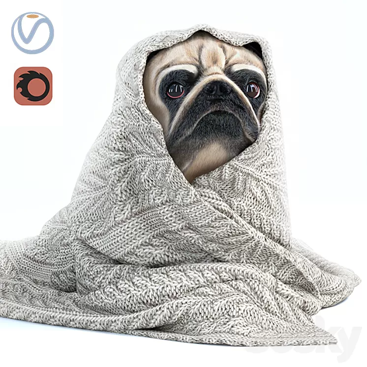 Pug 1 – Winter is coming 3D Model