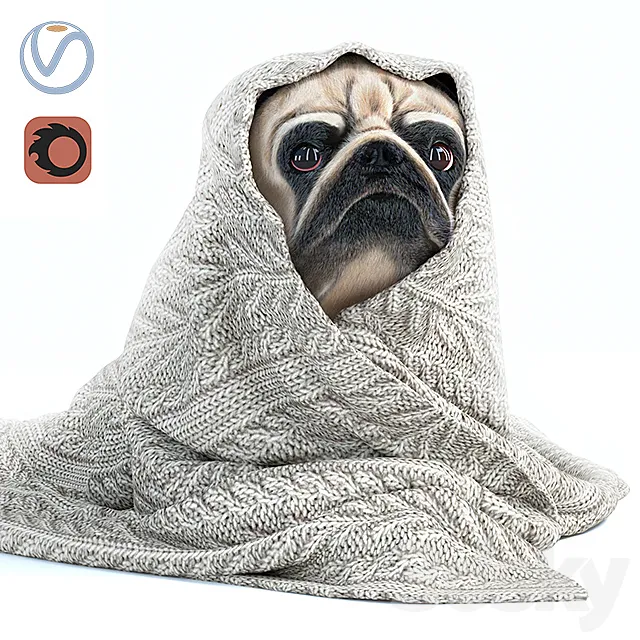 Pug 1 – Winter is coming 3DModel